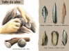 silex